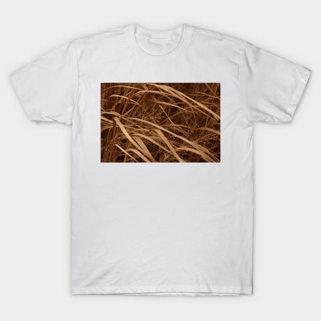 December's Grasses T-Shirt by lyle58